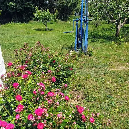 בקתה Sondela Self Catering