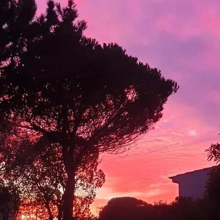 Sondela Self Catering סאו מרטיניו דו פורטו