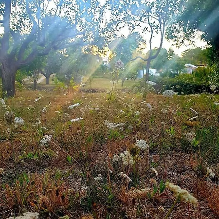 בקתה Sondela Self Catering *