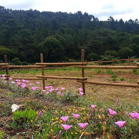 Sondela Self Catering סאו מרטיניו דו פורטו