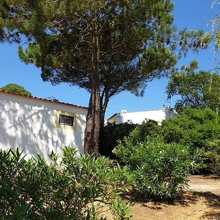 Sondela Self Catering בקתה *