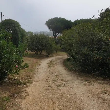 Sondela Self Catering בקתה *