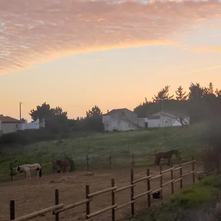 Sondela Self Catering * סאו מרטיניו דו פורטו