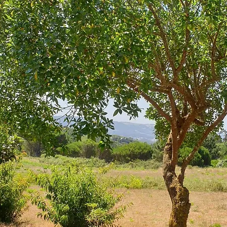 Sondela Self Catering בקתה *