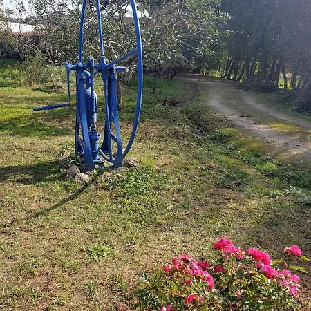 בקתה Sondela Self Catering סאו מרטיניו דו פורטו