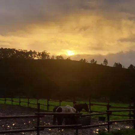 Sondela Self Catering בקתה