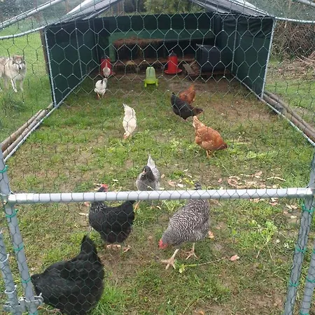 Sondela Self Catering בקתה *