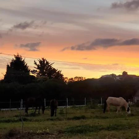 בקתה Sondela Self Catering