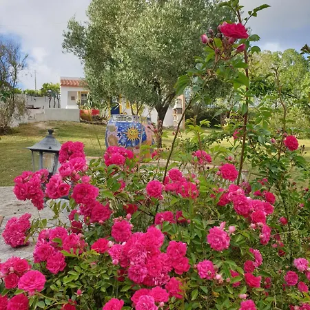 Chalet Sondela Self Catering *