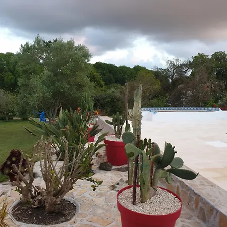 Chalet Sondela Self Catering