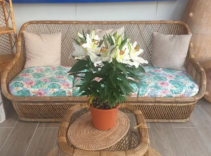 Sondela Self Catering Chalet São Martinho do Porto