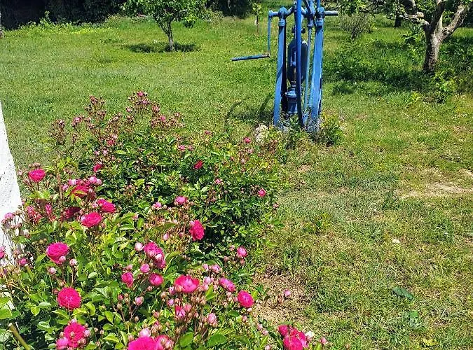 Chalet Sondela Self Catering