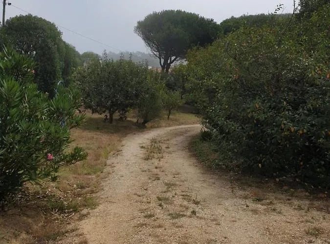 Sondela Self Catering Chalet *