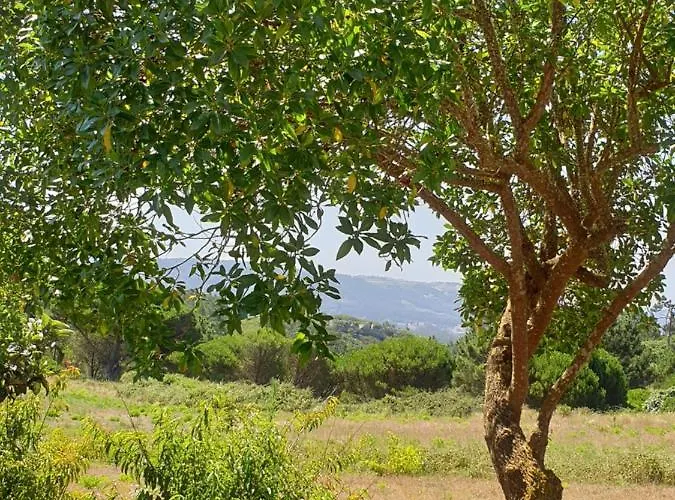 Sondela Self Catering Chalet *