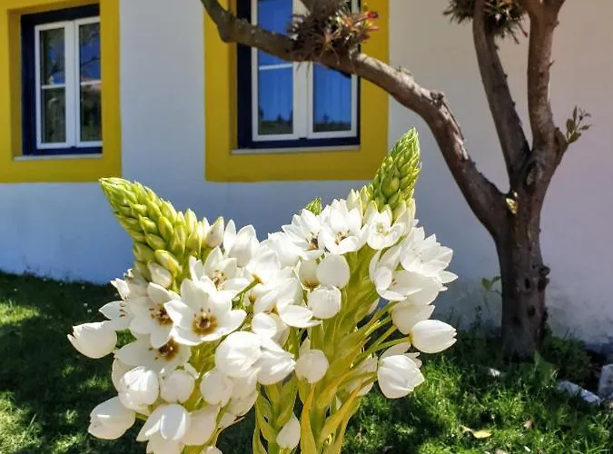 Sondela Self Catering