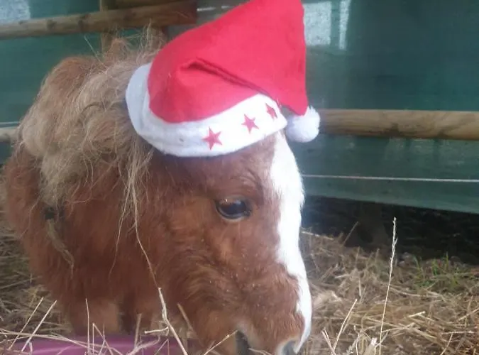 Sondela Self Catering Chalet *