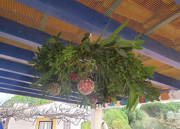 Chalet Sondela Self Catering *