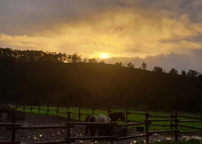 Sondela Self Catering Chalet