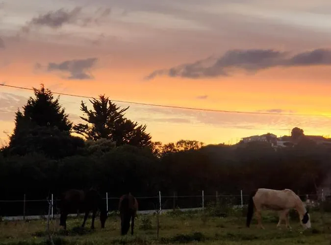 Chalet Sondela Self Catering