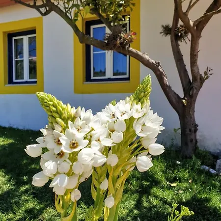 Sondela Self Catering