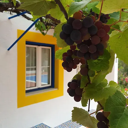 Chalé Sondela Self Catering *