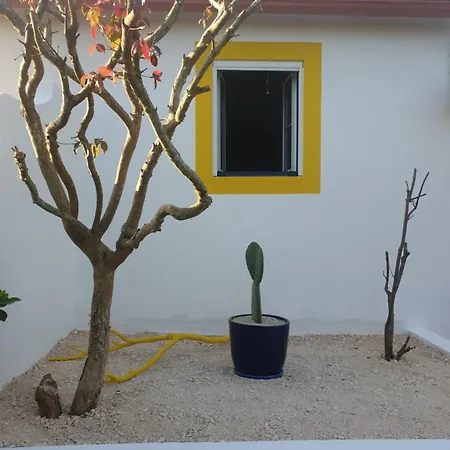 샬레 Sondela Self Catering *