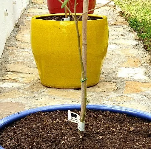 Sondela Self Catering *