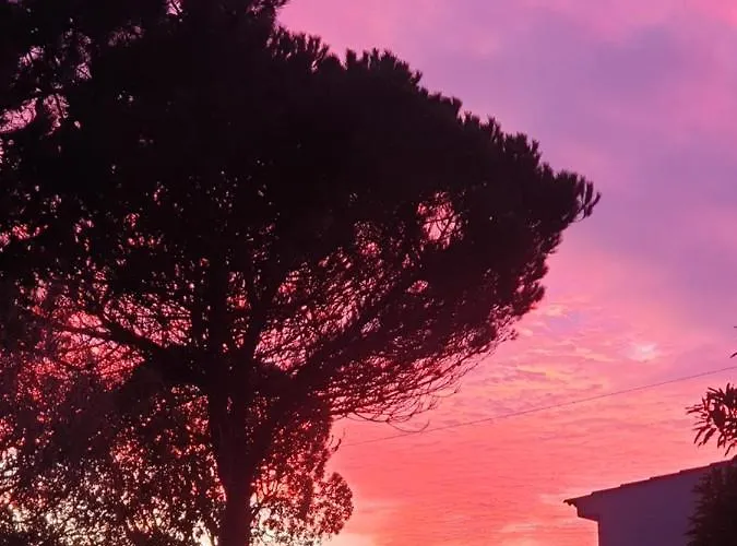 Sondela Self Catering São Martinho do Porto