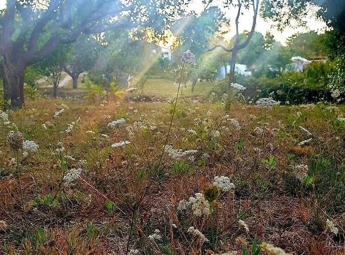 Chalet Sondela Self Catering *