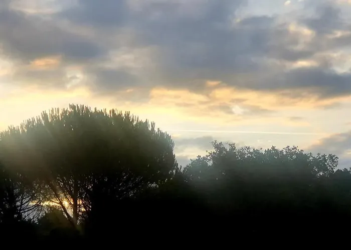 Sondela Self Catering *