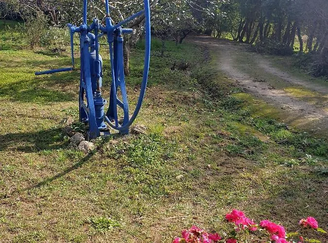 Chalet Sondela Self Catering São Martinho do Porto