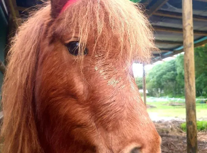 Sondela Self Catering Chalet