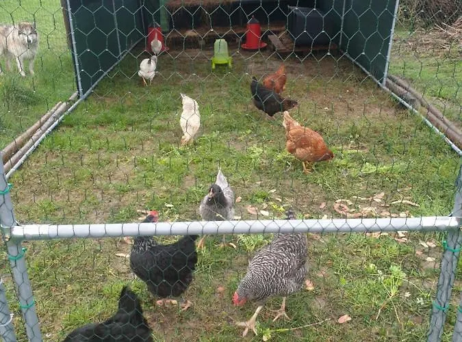 Sondela Self Catering Chalet *